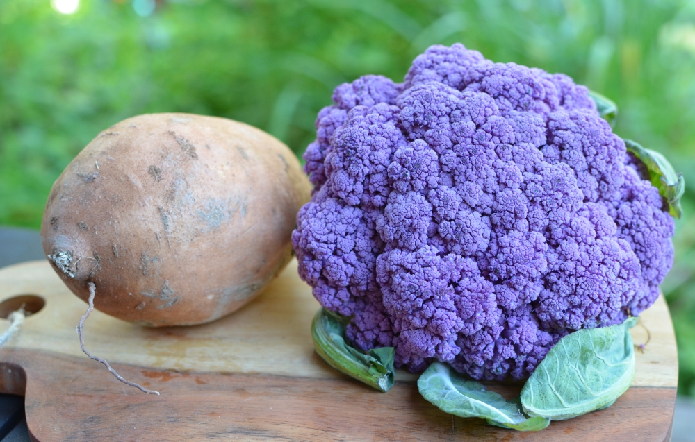 roasted-purple-cauliflower-sweet-potato-with-tahini-lime-sauce